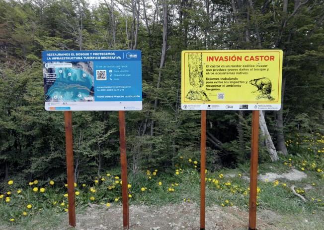 La Legislatura aprobó el pedido de informes sobre el avance de la especie invasora, el castor.