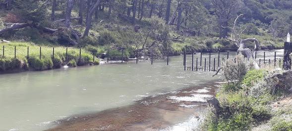 Gobierno instó a retirar el alambrado en Río Olivia