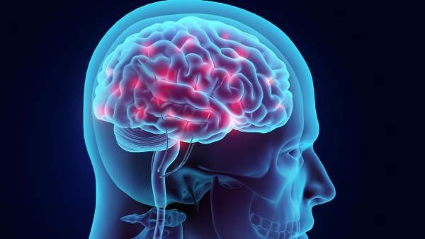 Cinco cosas que hay que saber sobre nuestro cerebro