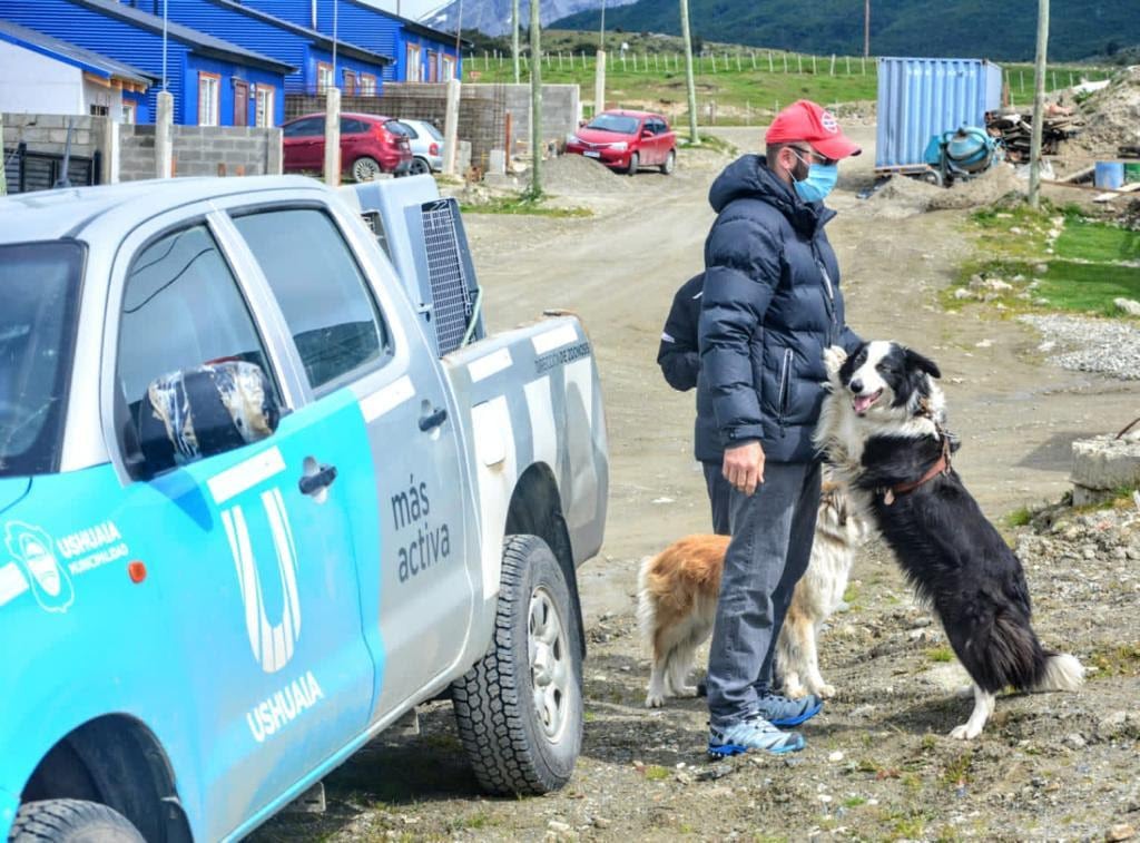 Desde zoonosis trabajarán en el barrio Kaupén