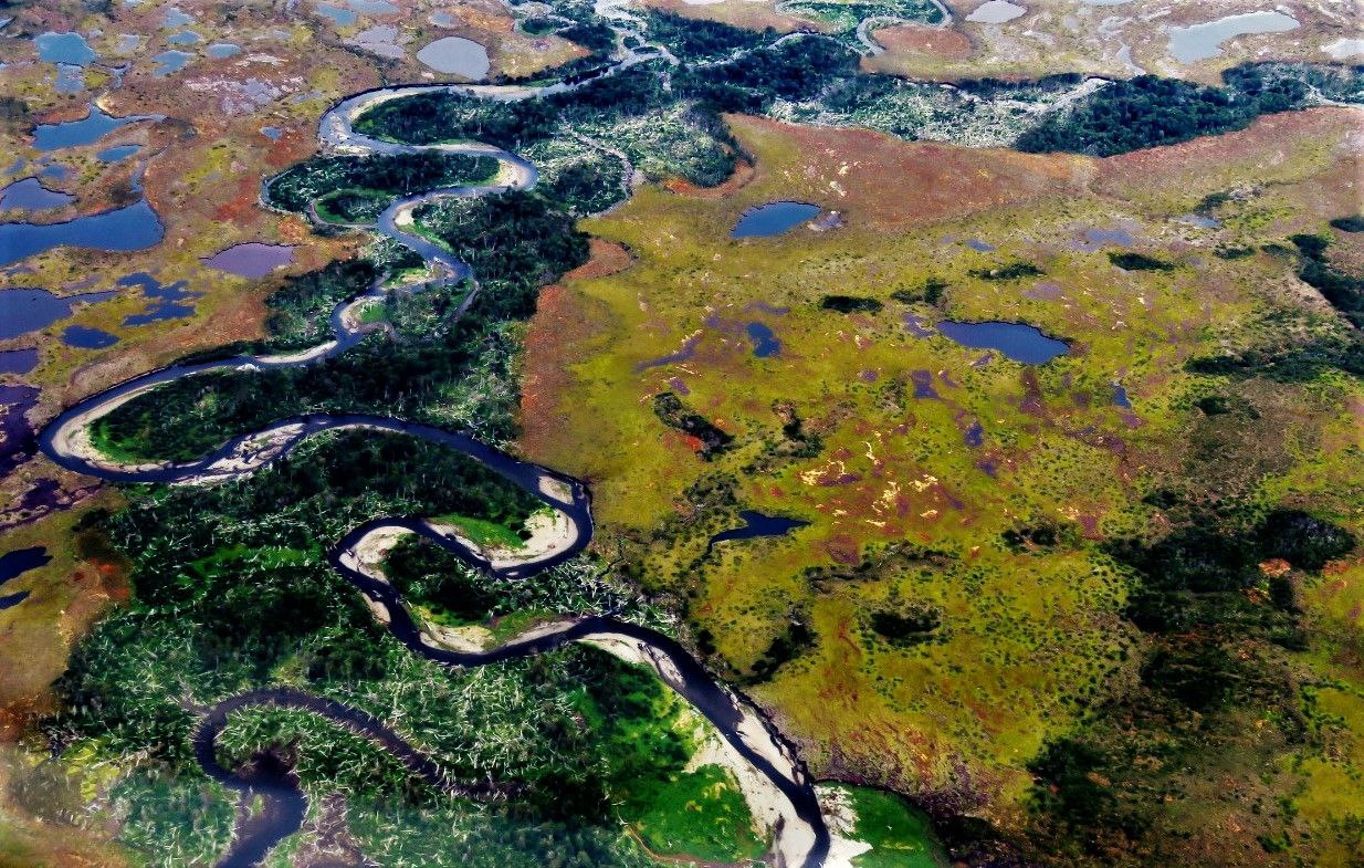 Se realizan actividades por el Día Mundial de los Humedales