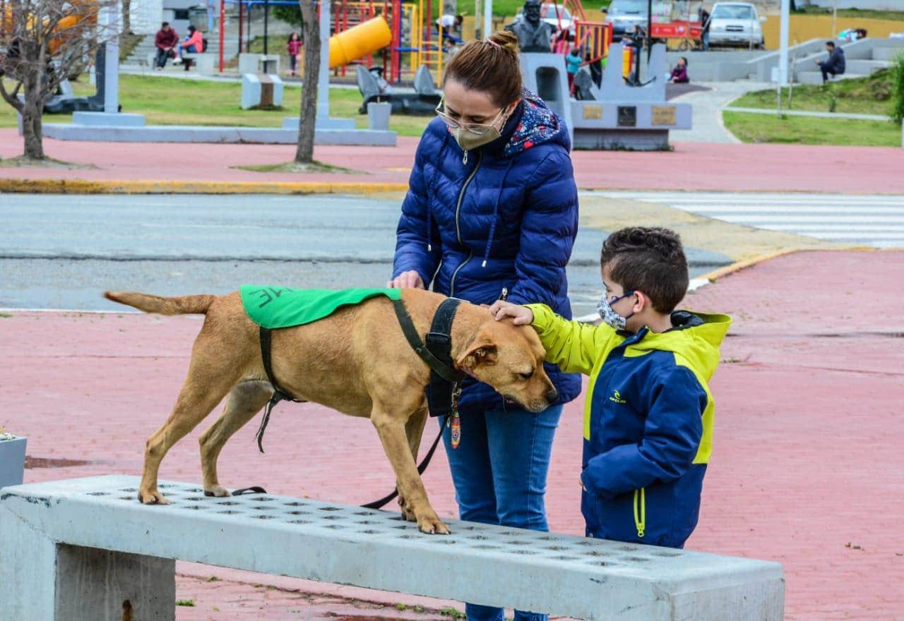 “Zoonosis más cerca” realizo una jornada positiva en el Paseo de las Rosas