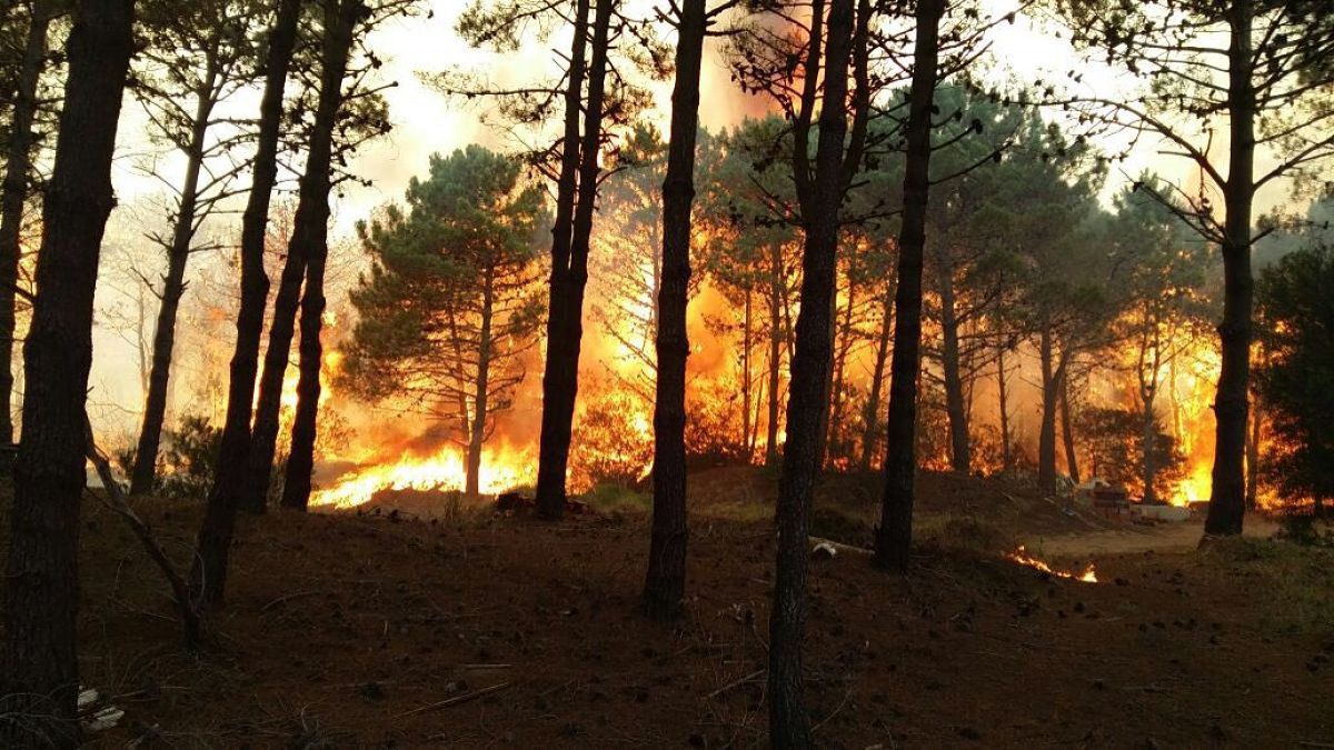 Fernández viajará mañana a Chubut para recorrer las zonas afectadas por los incendios