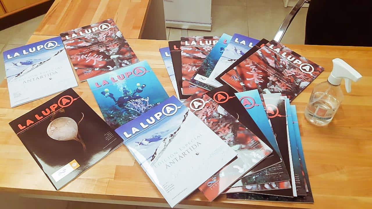Mes Antártico: Rompehielos Almirante Irízar y bases Antárticas recibirán libros y revistas