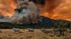 La Peña del Fin del Mundo lanza una campaña para ayudar a Chubut