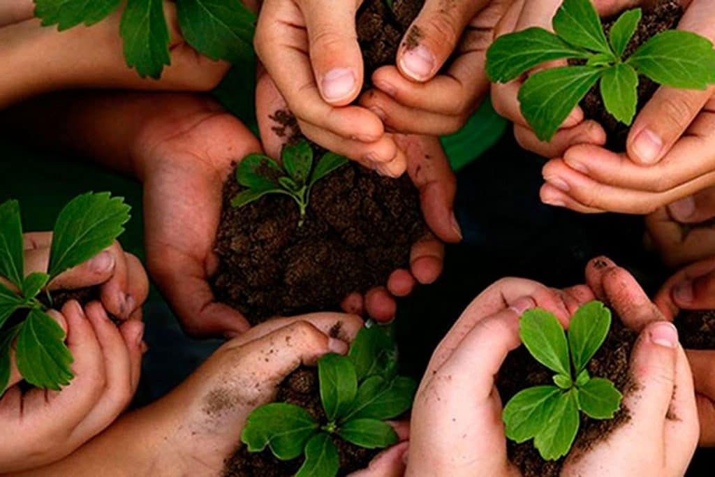 Reiniciaron el programa de Educación Ambiental en instituciones educativas