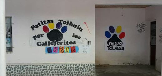 Caravana pacífica en el Corazón de la Isla por el Mes de los Animales