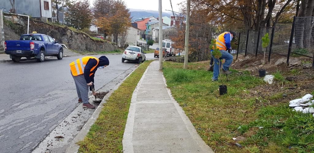 Realizaron una jornada de limpieza en el barrio Felipe Varela