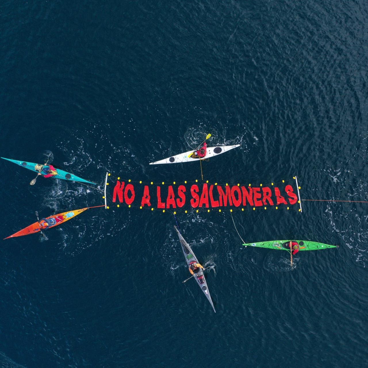 Manifestación contra las salmoneras en el Canal de Beagle