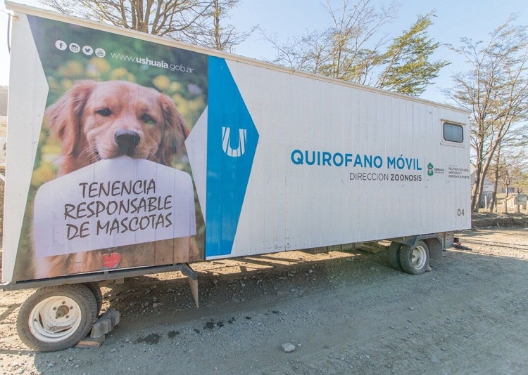 El programa “Zoonosis más cerca” estará en el Centro comunitario del barrio Los Morros