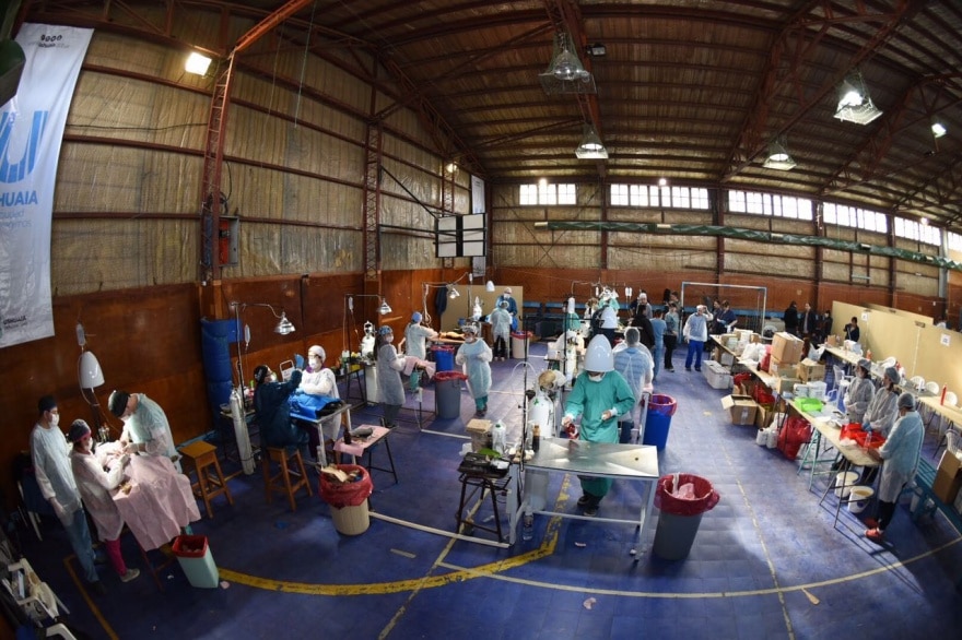 Se llevará adelante una jornada de castración masiva en el barrio Cantera