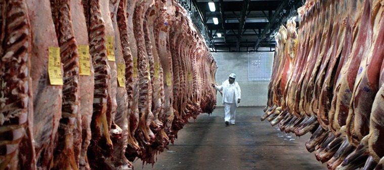 UNTDF: Presentaron un proyecto para combatir el síndrome urémico hemolítico