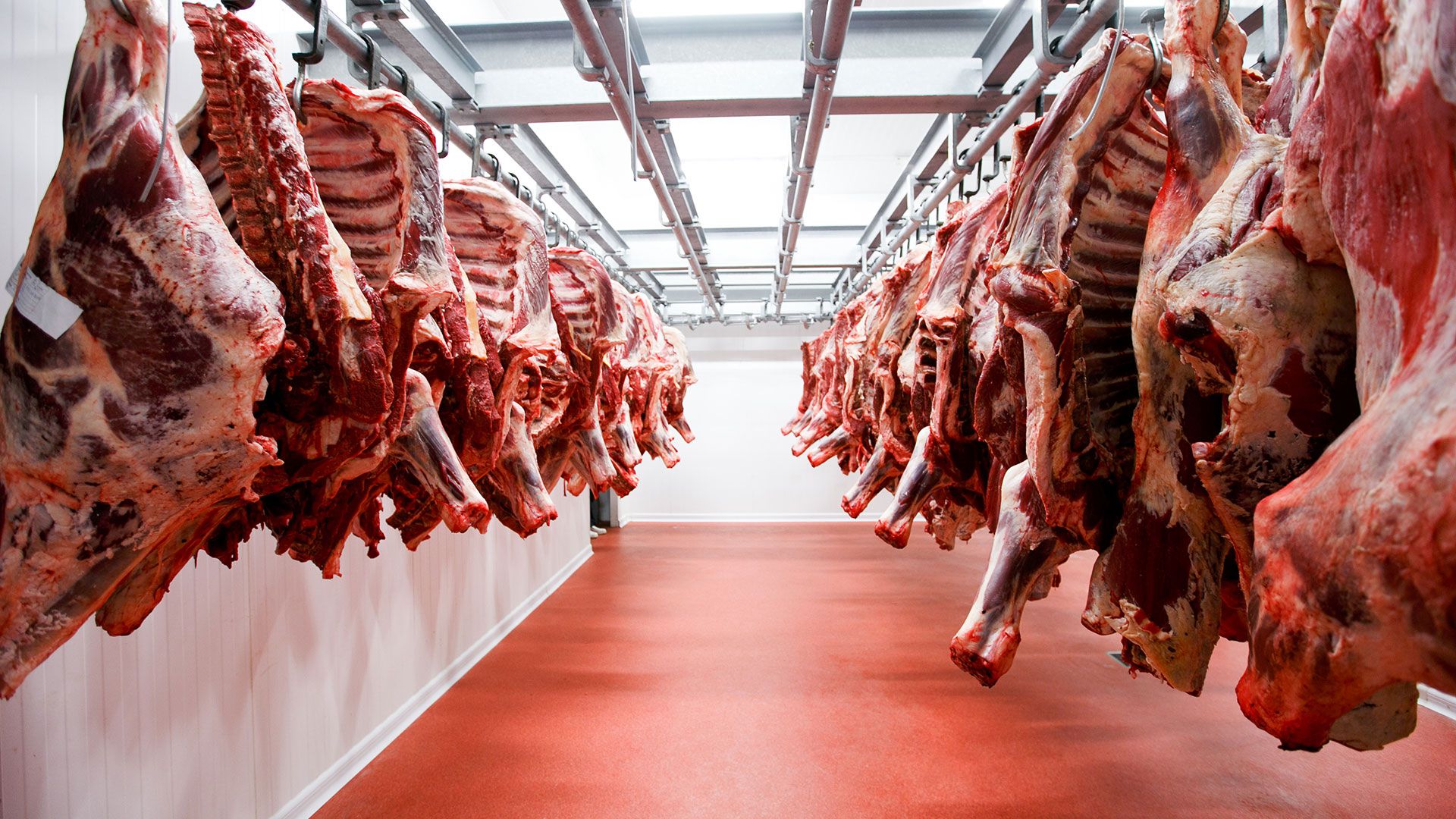 La próxima semana se define si se amplia o no el cupo para exportar carne