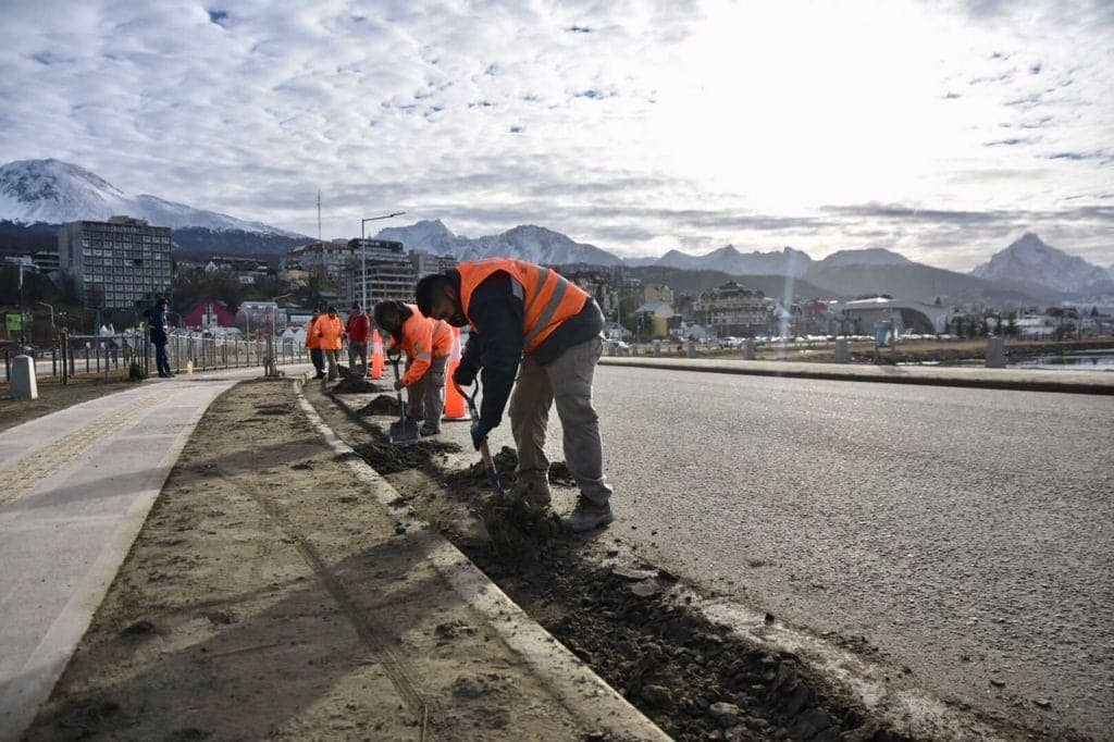 Continúa la puesta en valor de los espacios verdes