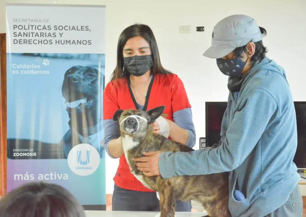 Continúa la capacitación para paseadores caninos de la capital fueguina