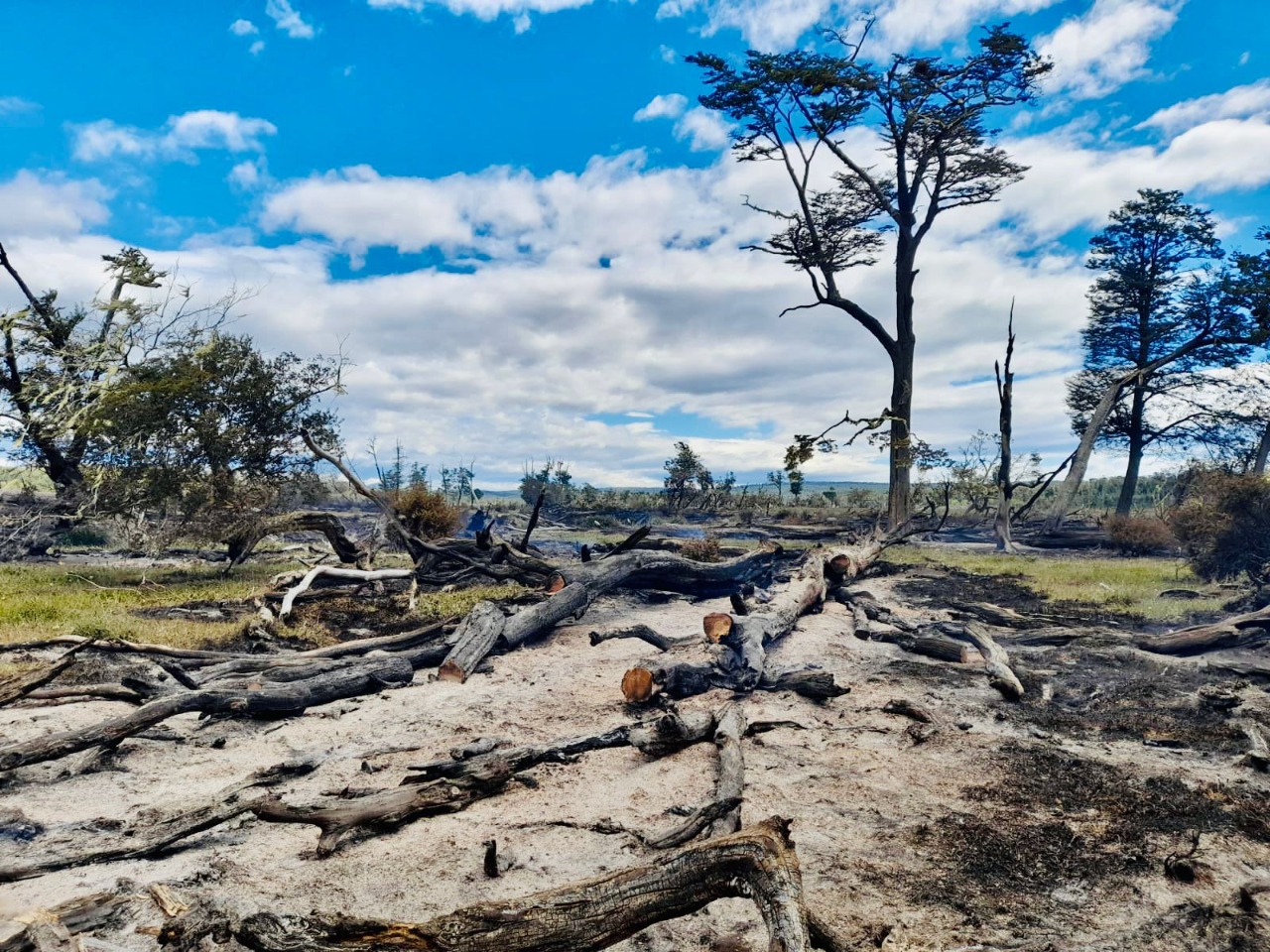 Hasta la fecha ya son diez los incendios combatidos en zona rurales