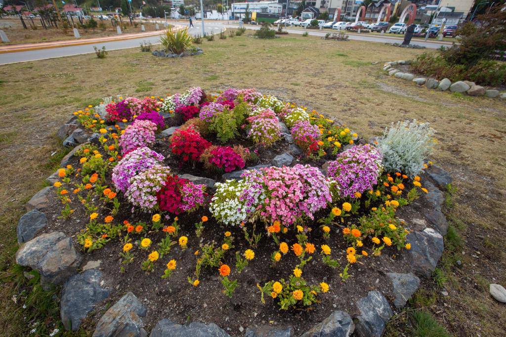 La capital fueguina renueva sus canteros con flores de temporada