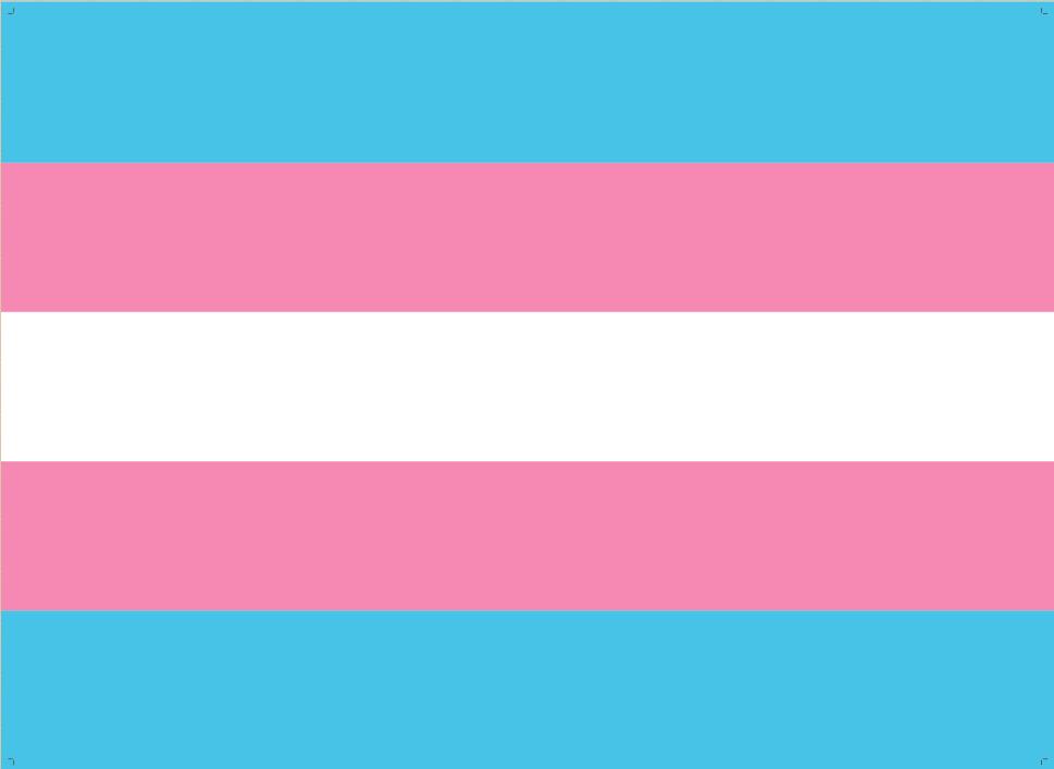 Se realizará un Banderazo por la memoria trans en Ushuaia