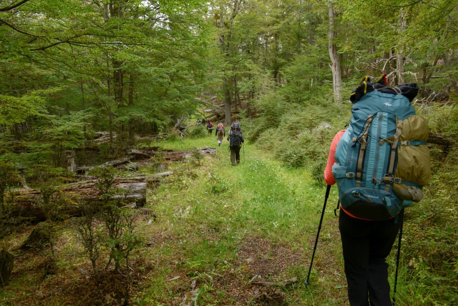 El IMD invita a participar de una caminata familiar