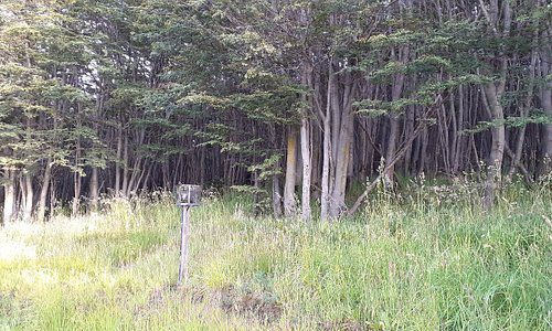 Habrá una 2° charla en la Reserva Natural Urbana del Bosque Yatana