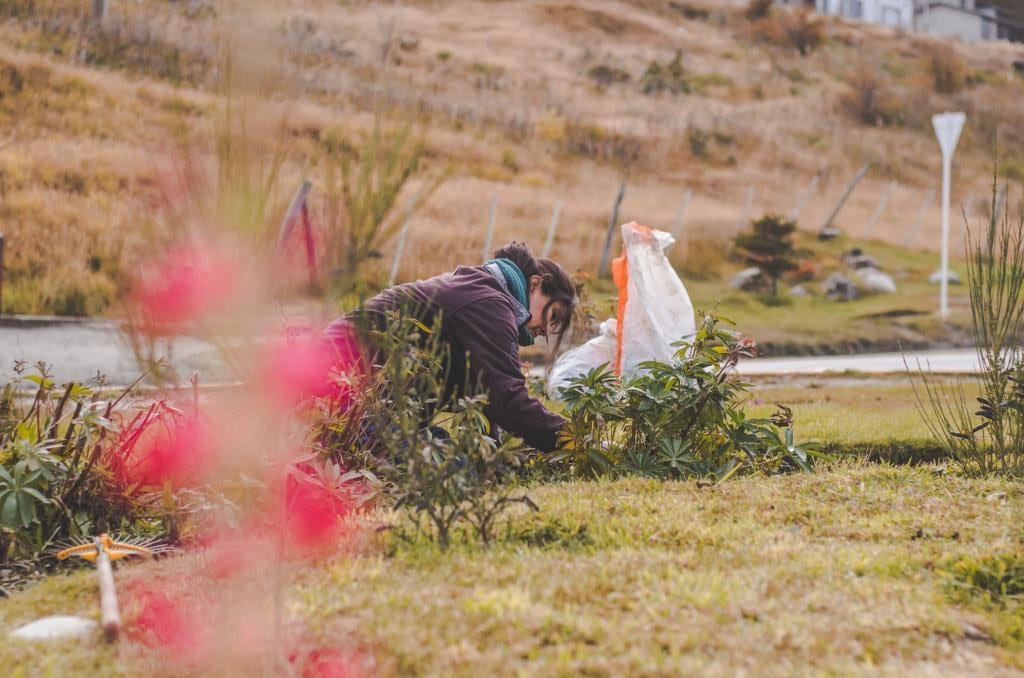 Se realizan trabajos de embellecimientos de espacios verdes