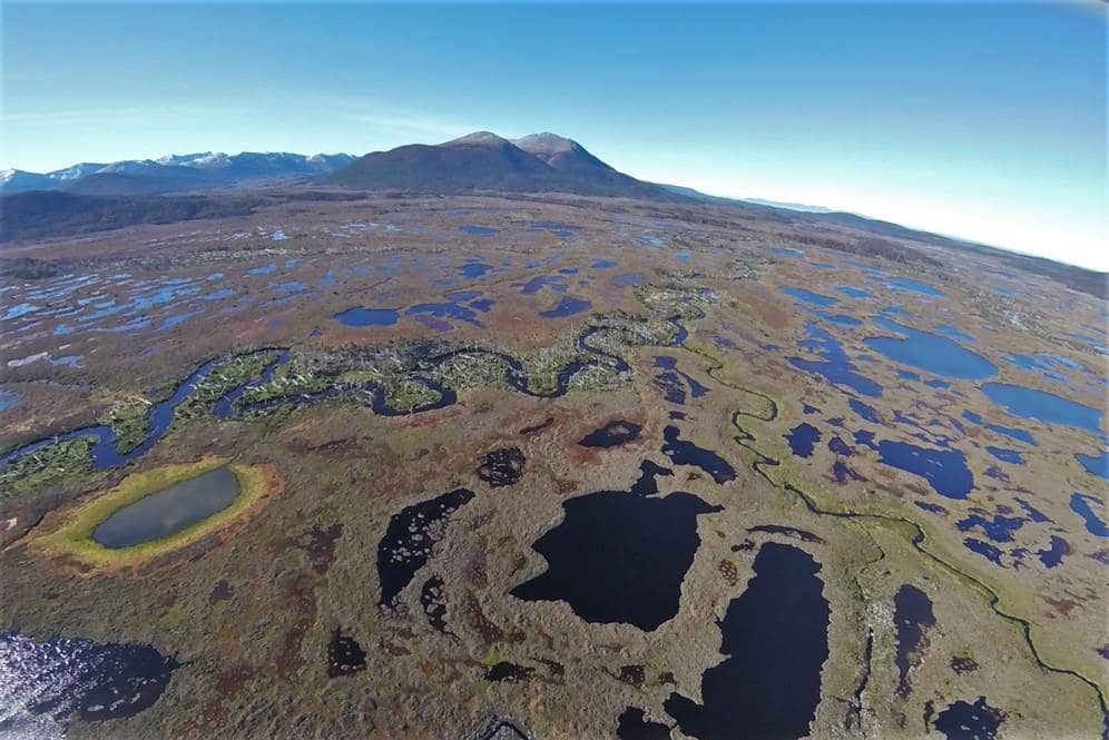 Avanza la Iniciativa Binacional para la conservación de turberas patagónicas