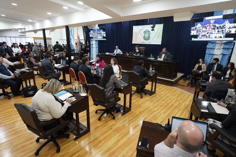 Se podrán presentar proyectos de reforma de la Carta Orgánica Municipal hasta el 8 de agosto