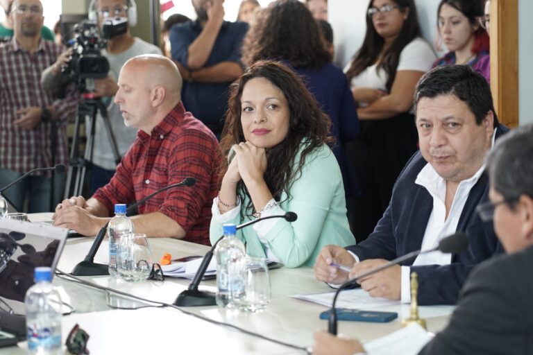 Ávila: «Ushuaia es el primer municipio que efectivizó la paridad»