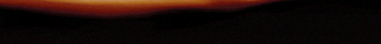 spot_img