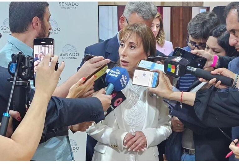 “Milei es un desquiciado” dijo la senadora López