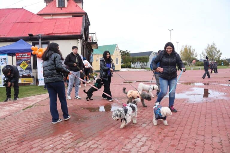 Amigos del Reino Animal Fueguino realizo una «Caninata»