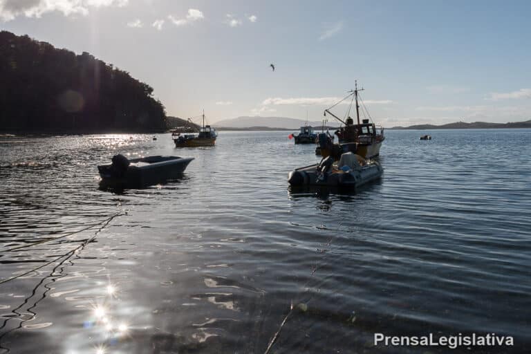 Buscan declarar la emergencia en la pesca artesanal