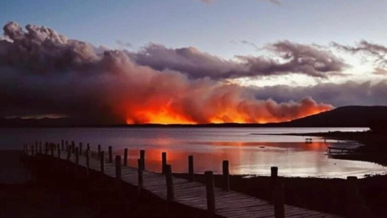 La justicia ratificó procesamientos por incendio forestal en la Isla