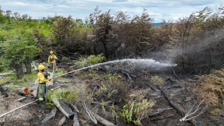 El fuego en Estancia San Justo fue causado por un rayo