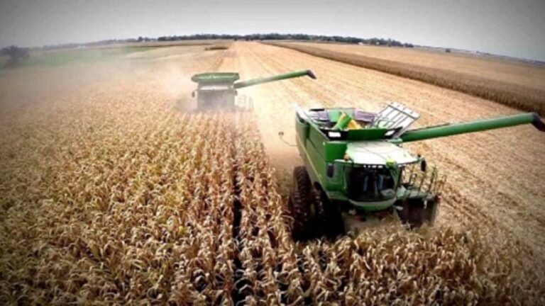El Gobierno redujo retenciones al agro y eliminó tributos a economías regionales