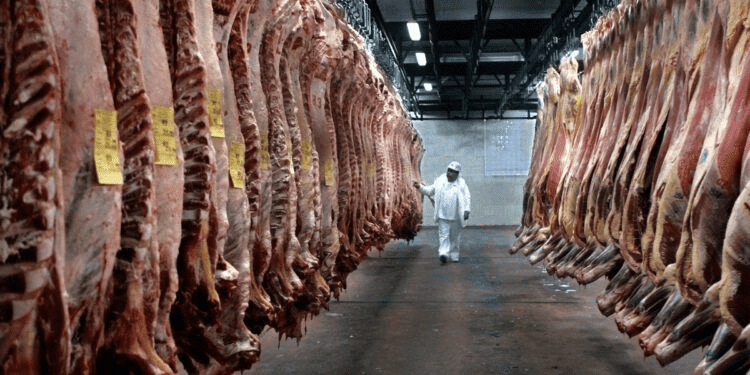 Tras 24 años de prohibición en suspenso la medida que permitía el ingreso de carne con hueso a la patagonia
