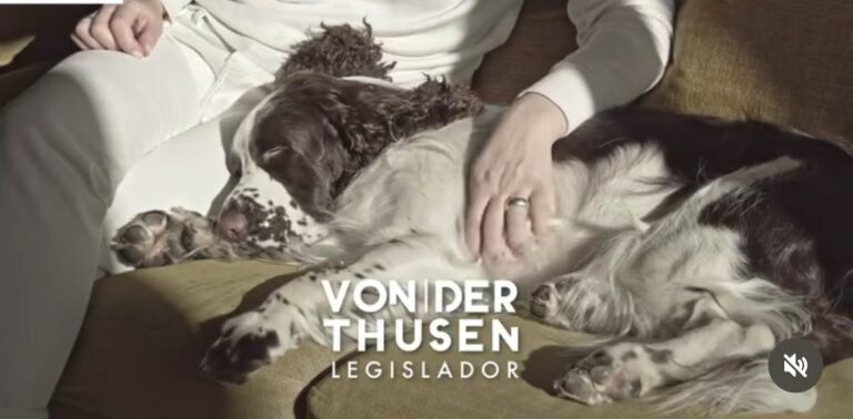 Hay que insistir con las guardias veterinarias