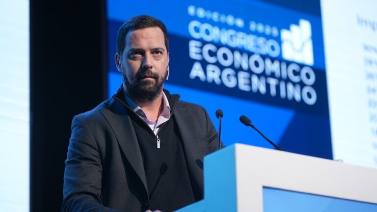«Bases y reglas claras, luego los fueguinos pensarán qué conviene desarrollar»