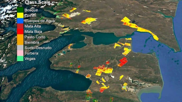 Chile avanza en conservación ambiental con innovador proyecto de carbono
