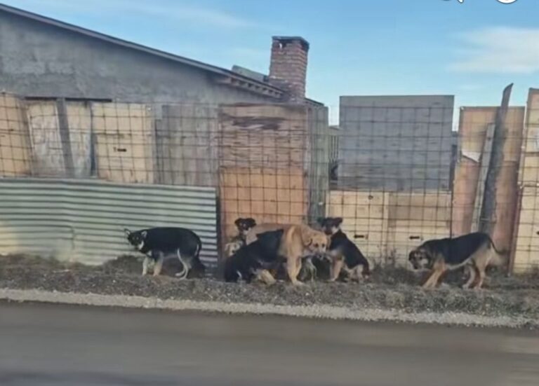 Vecinos de la margen sur exigen solución