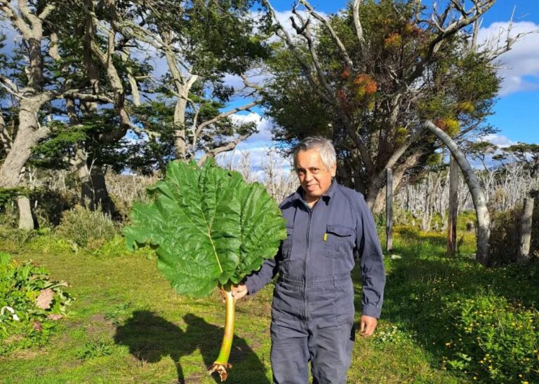 Un agricultor fueguino que desafió el clima y las piedras