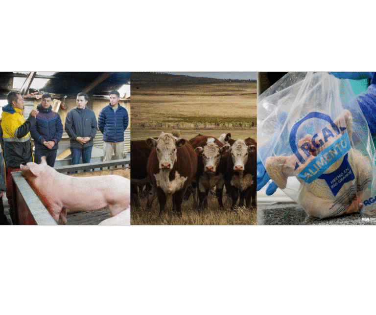 ¿se pueden engordar vacas, pollos, ovejas, pero no pescados?