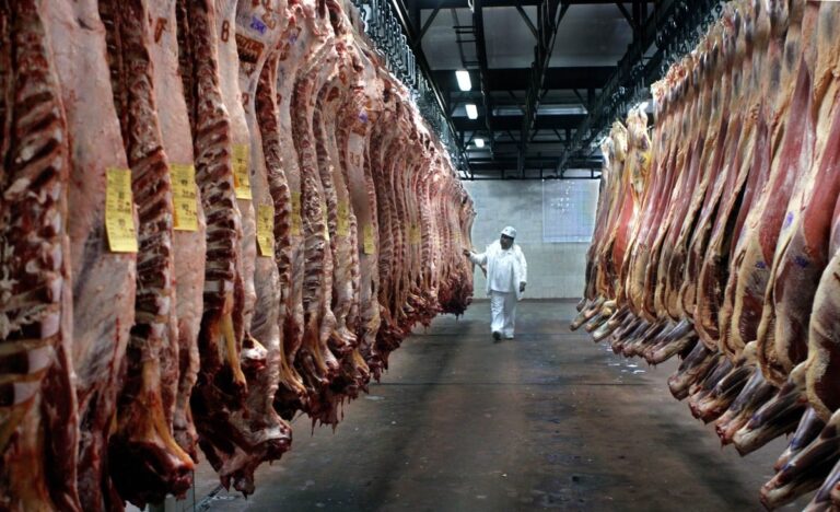 Productores fueguinos en alerta por el cierre del mercado chileno