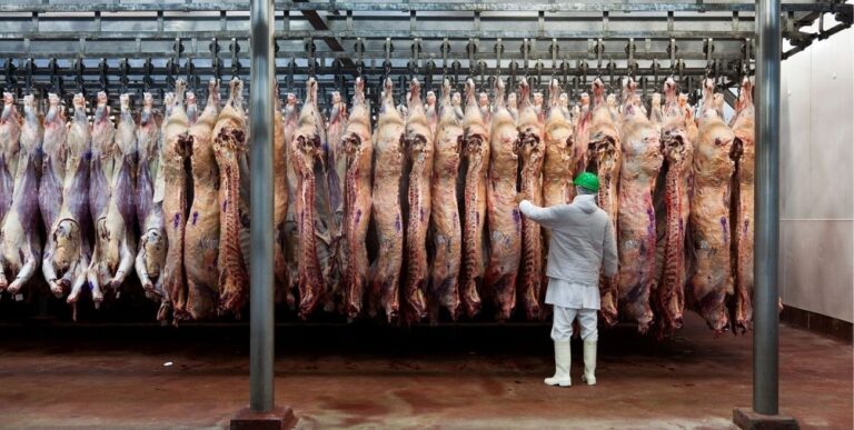 Extienden la tasa 0 de retenciones a carnes bovinas y avícolas