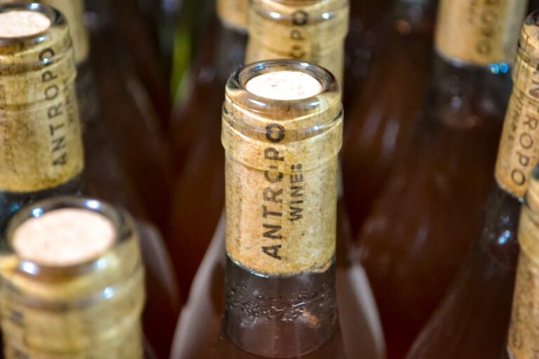 La vitivinicultura como expresión de la identidad jujeña