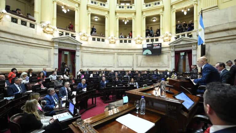 El Senado anuló el veto de Milei y reactivó la ley de emergencia en discapacidad