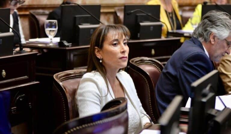 “Vamos a rechazar los vetos de Milei en contra de las Universidades y el Hospital Garrahan”