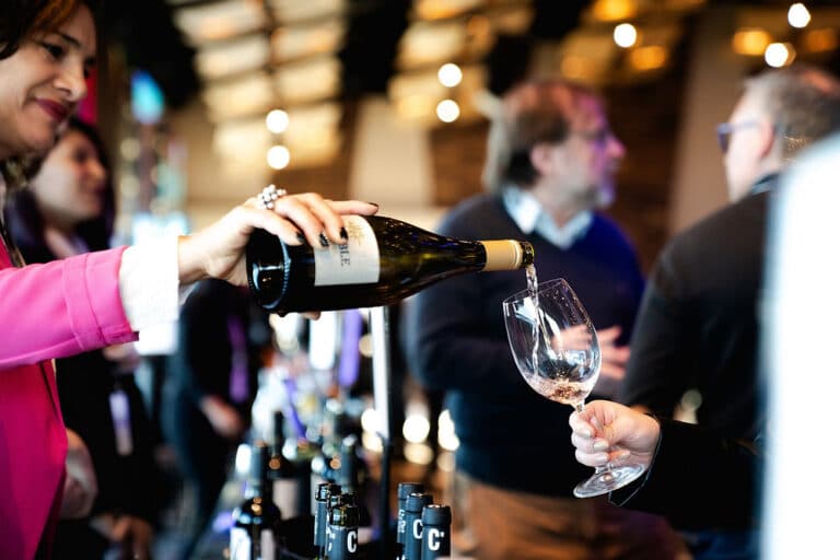 Balance positivo de Vinos al Sur y proyección a futuro