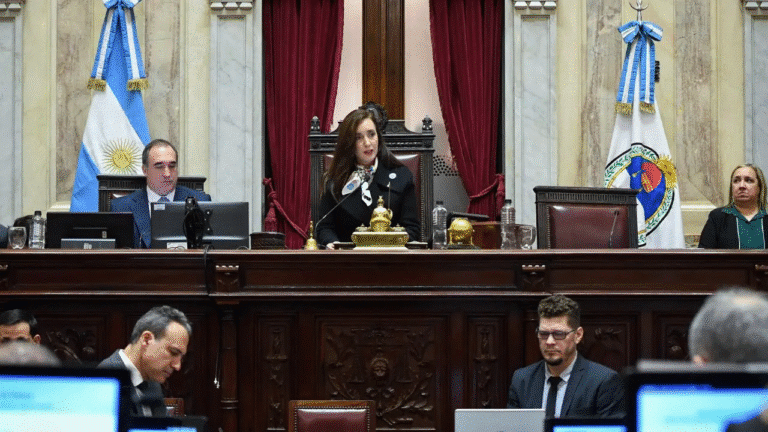 El Senado rechaza los vetos de Milei en salud y educación