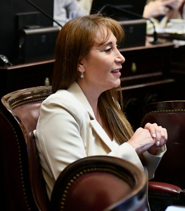 El Congreso puso un freno: defensa a universidades y Garrahan